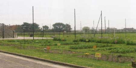 img0701_p04c.jpg