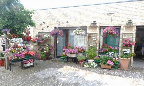fleurs