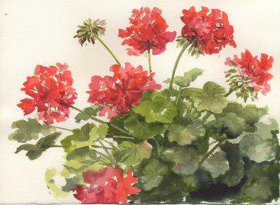 fleurs