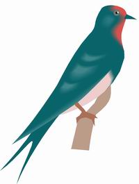 oiseau