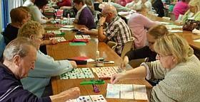 Loto
